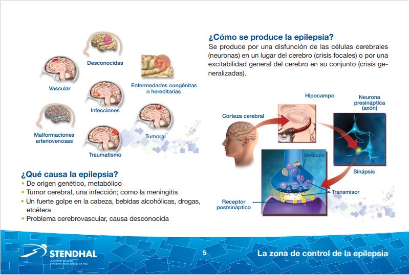IMAGEN 5 ROTAFOLIO EPILEPSIA REEL EPILEPSIA