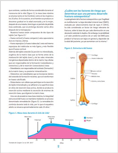 imagen 3 flyer prevencion