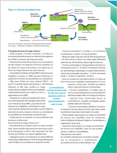 imagen 4 flyer prevención para reel
