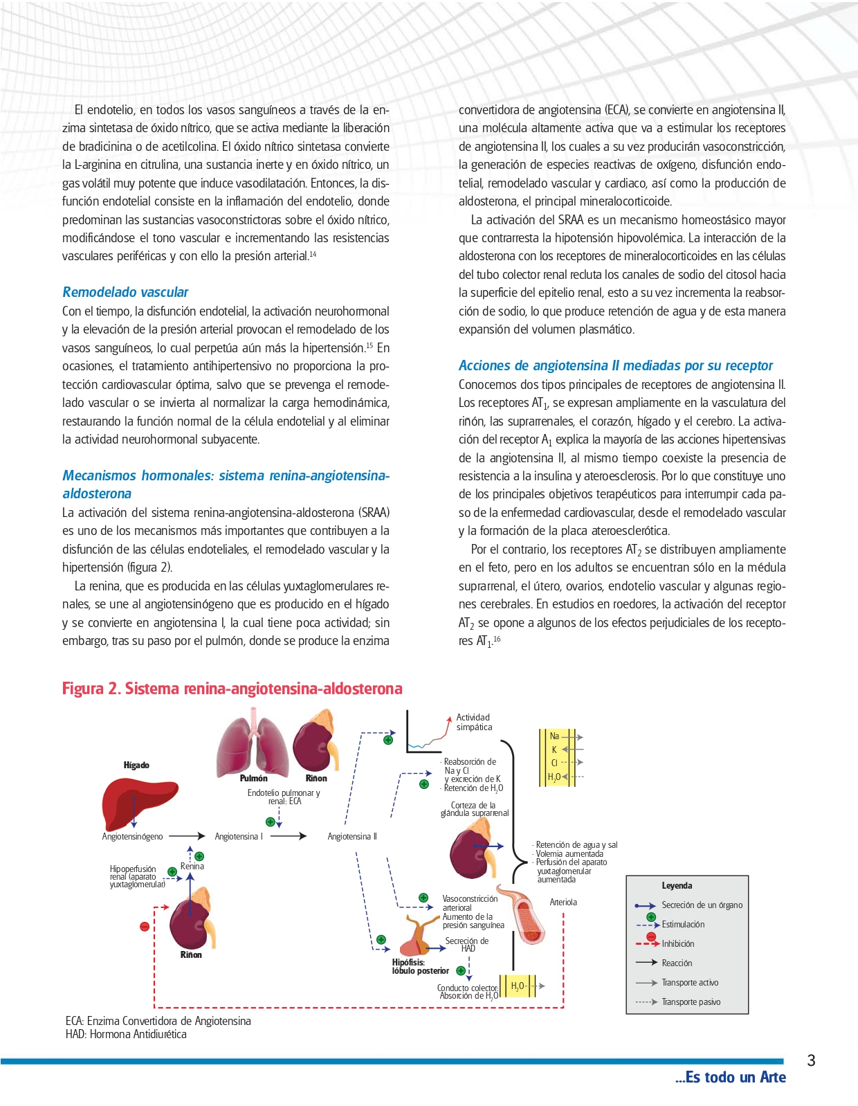 Liomont 11 Abril Hpertension arterial azul_page-0005